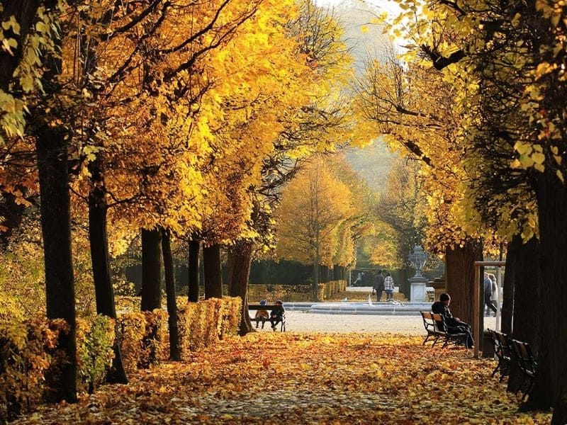 Vienna trở nên thơ mộng vào mùa thu