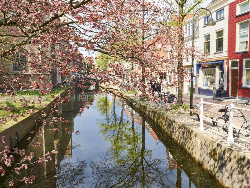 Mùa xuân tạ thị trấn Delft Hà Lan
