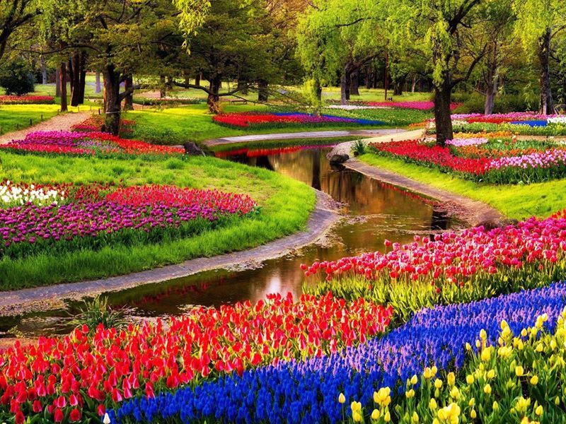 Vườn hoa Keukenhof