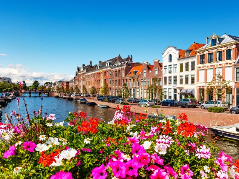 Mùa xuân tại Haarlem Hà Lan