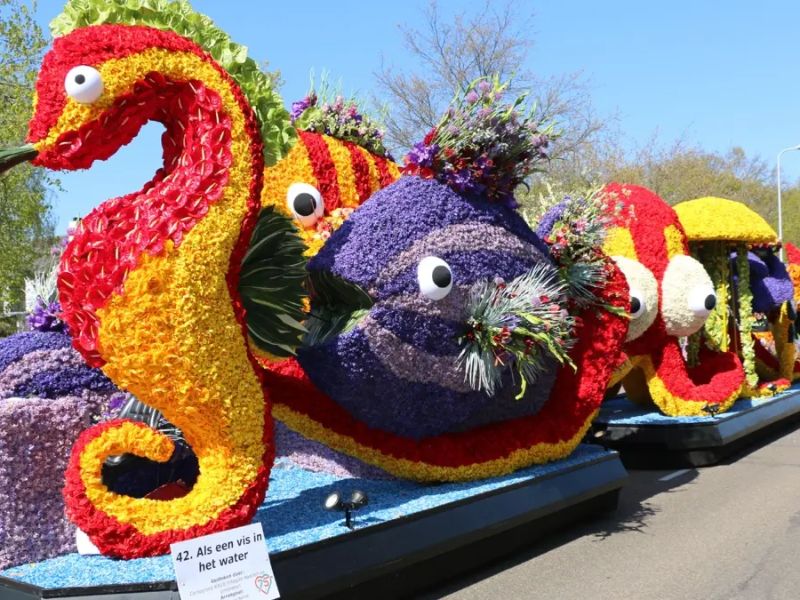 Lễ hội Tulip Amsterdam